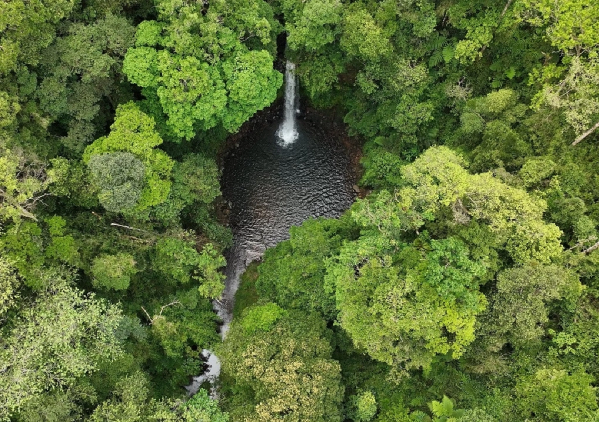 La cascade Hơ Kook se trouve dans une zone gérée par le comité de gestion de la forêt de protection de Thach Nham. Photo : Comité populaire de la commune de Kon Plong. thac-ho-kook-ubnd-xa-kon-plong.jpg
