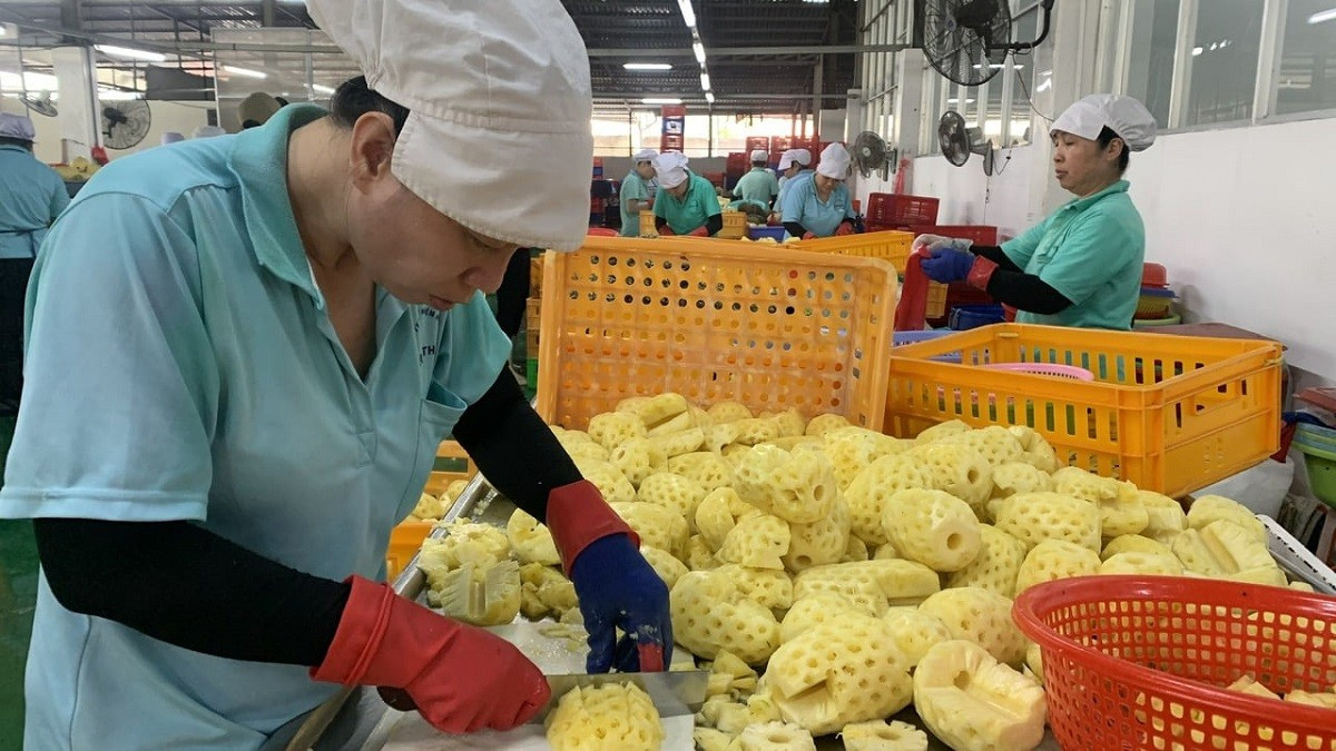 L’industrie de transformation des produits agricoles de la province de Vinh Long affiche une croissance stable. Photo : nongnghiep. vinh-long-nongnghiepmoitruong.jpg