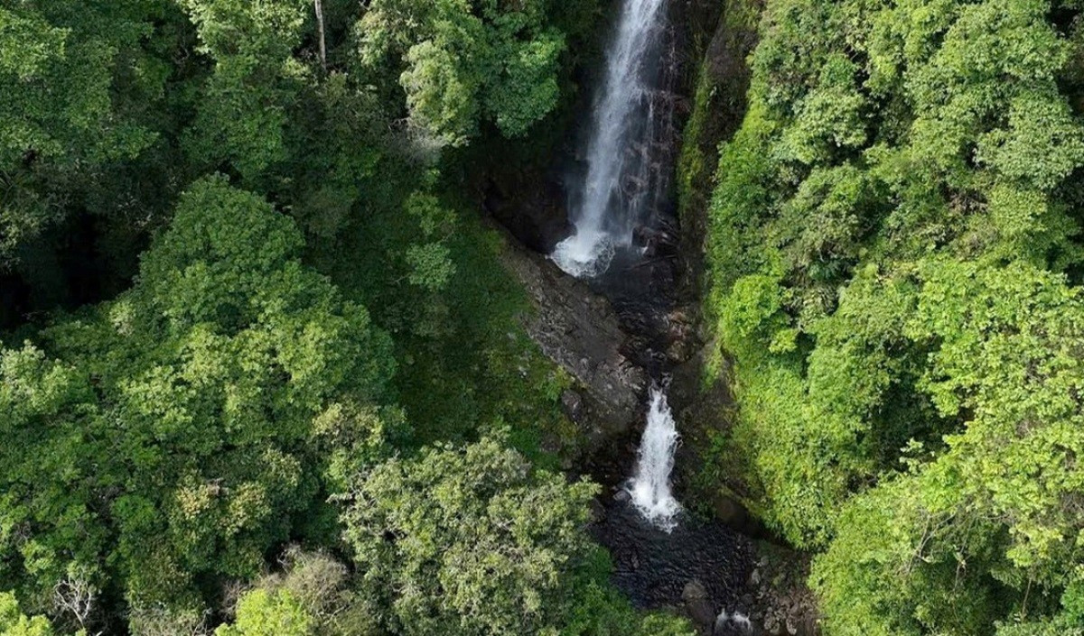 Nichée au cœur d’une forêt primaire, la cascade Hơ Kook culmine à environ 50 mètres de haut. Photo : Comité populaire de la commune de Kon Plong.