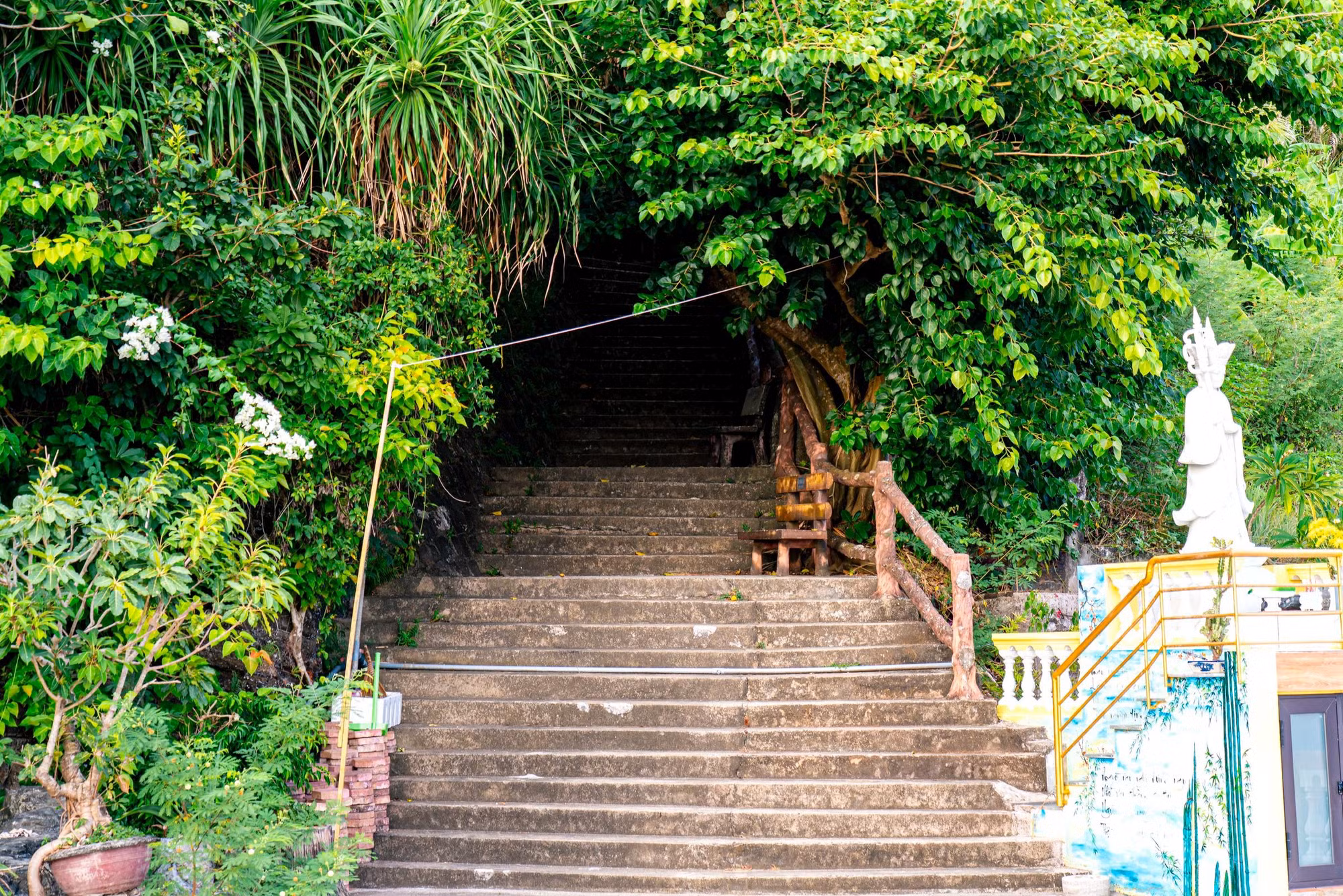 pagode-3.jpg