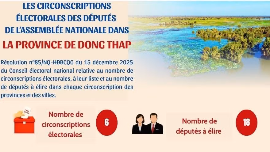 [Infographie] Les circonscriptions électorales des députés de l’Assemblée nationale dans la province de Dong Thap