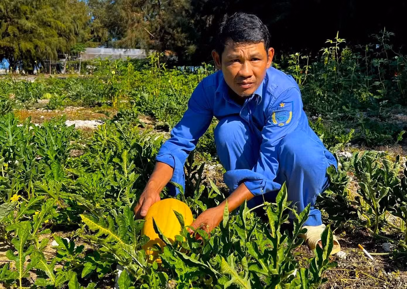 À Da Tay A, des soldats font fleurir la pastèque au milieu des vents salés