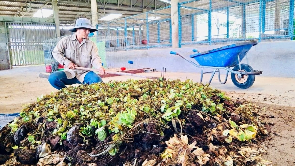 sou-produit-agricol-baolamdong.jpg