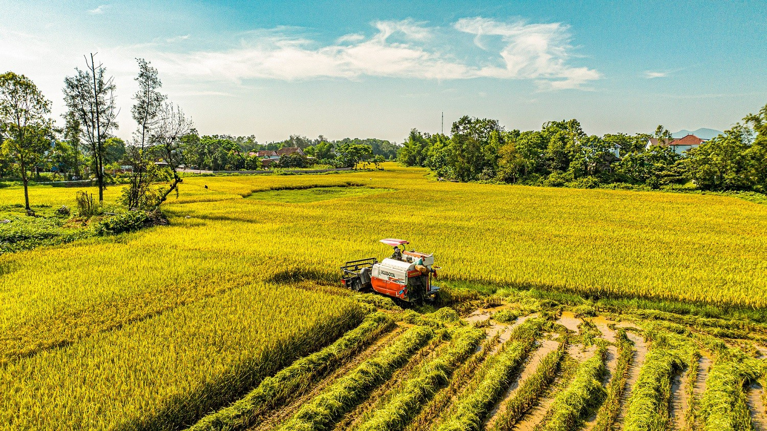 L’agriculture et l’environnement sont des piliers de la transition verte au Vietnam. Photo : TPO.