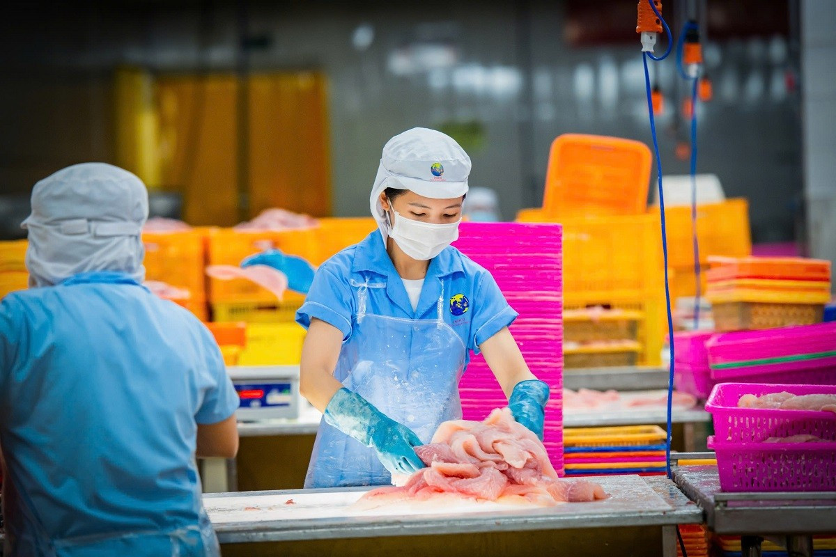 La majorité des entreprises vietnamiennes s'attendent à un soutien financier plus substantiel de la part des banques. Photo : Vneconomy. finance-verts-vneconomy.jpg