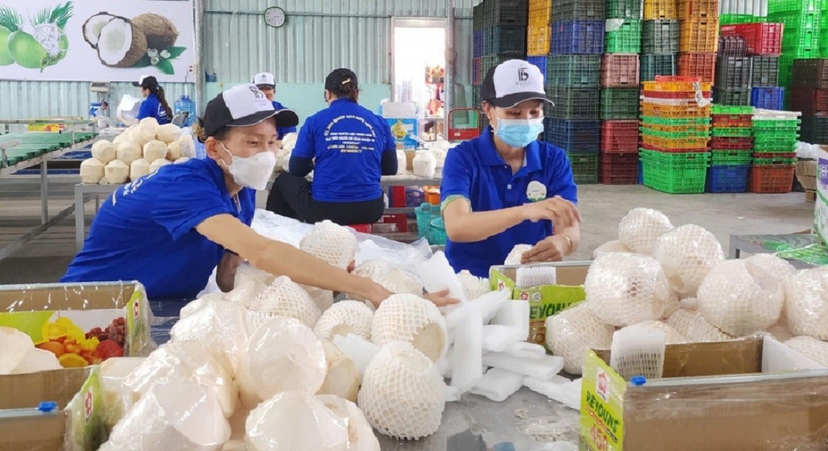 Le secteur privé présente un avantage pour mobiliser des capitaux en faveur de la transition verte et se montre plus proactif dans les initiatives de recyclage et de production plus propre. Photo : thoibaonganhang. verts-thoibaonganhang.jpg