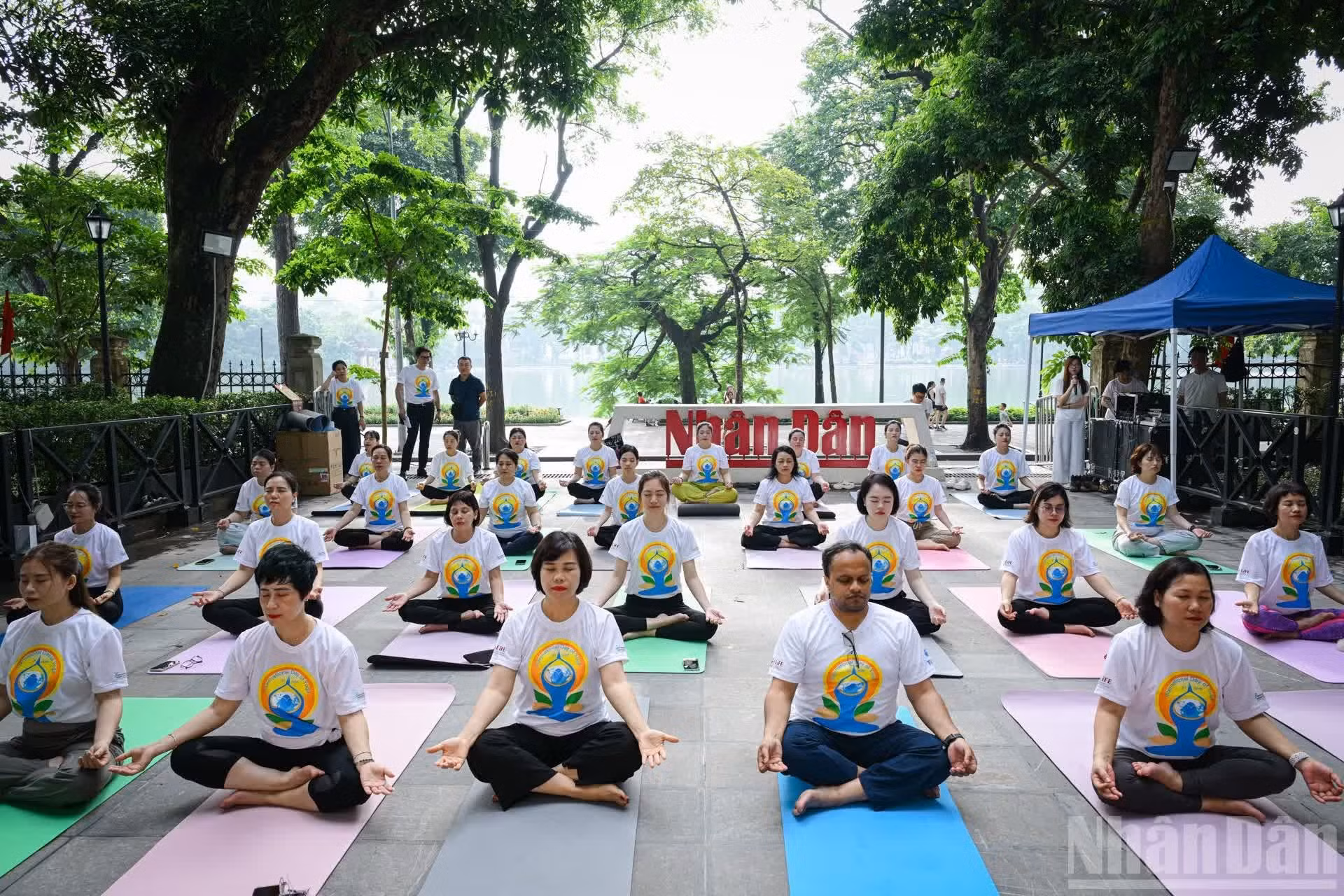 Une séance collective de yoga organisée à l’occasion de la Journée internationale du yoga 2026.