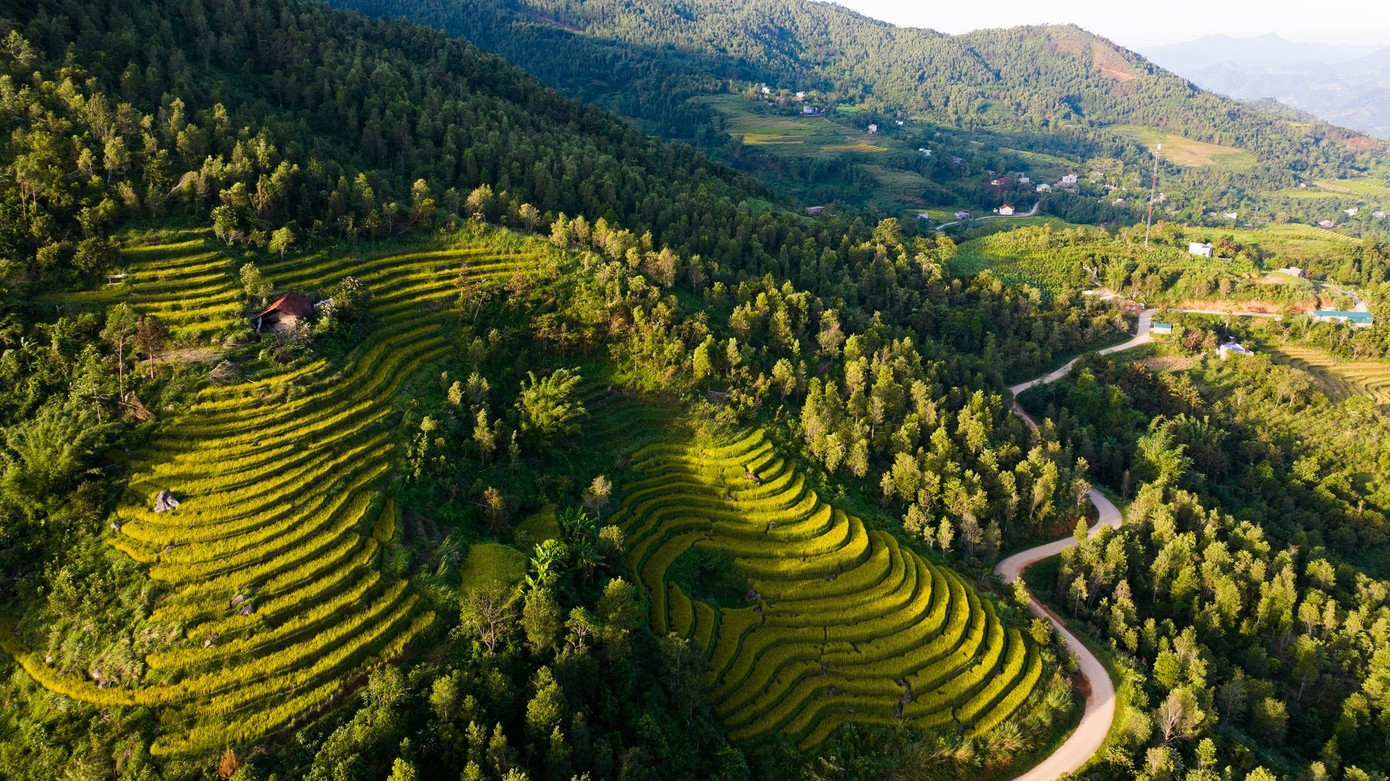 Les rizières en terrasses de Cao Thang. luc-hon-4.jpg