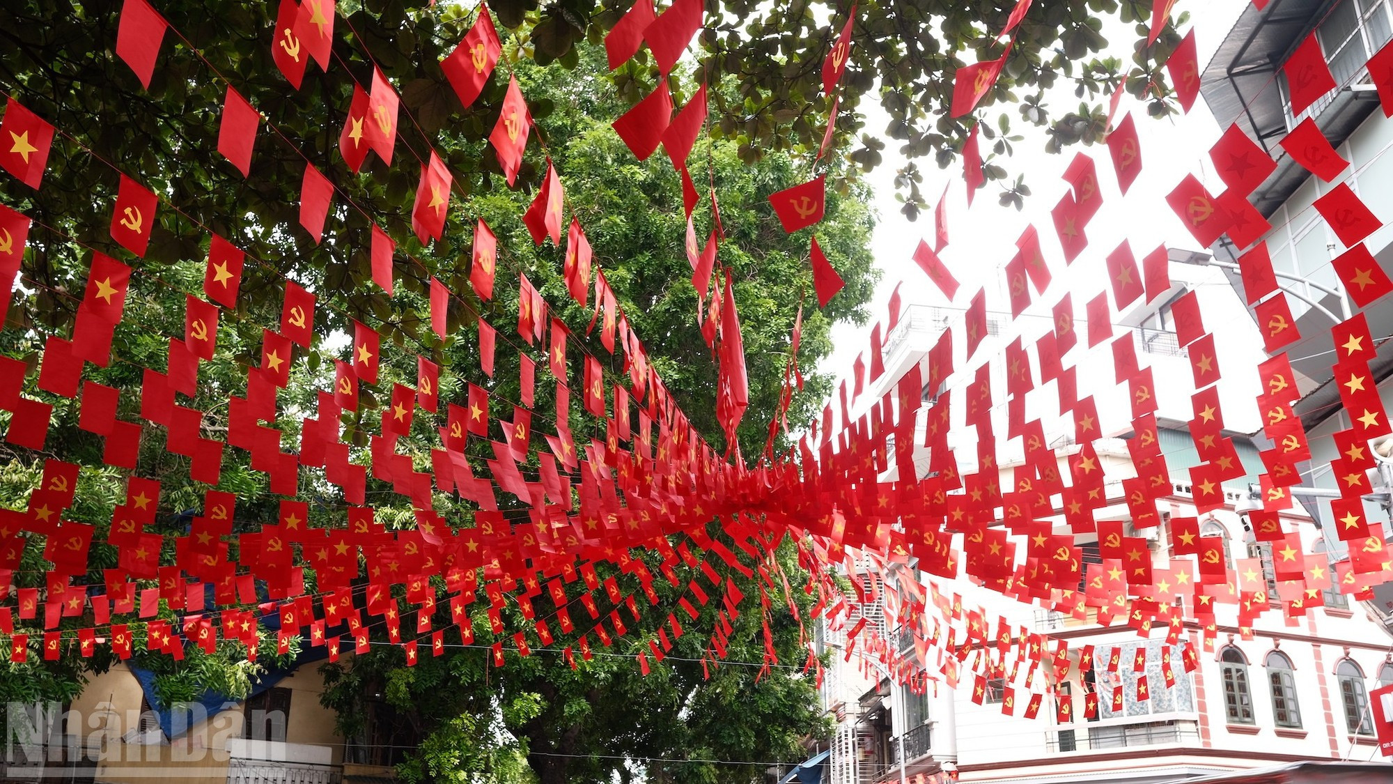 Des milliers de petits drapeaux, suspendus en arche, forment une voûte écarlate semblable à un tapis vivant tissé de l’amour de la Patrie. jeunes-7.jpg