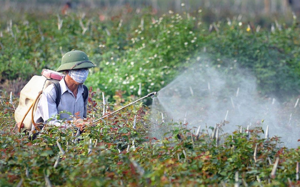 Ces dernières années, l’utilisation des produits phytosanitaires biologiques connaît une forte progression à l’échelle mondiale. Photo : Vneconomy.