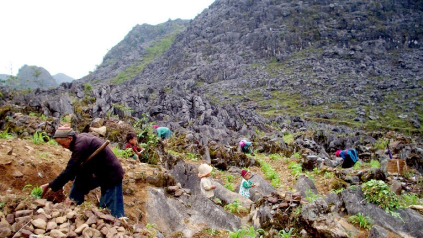 Des habitants locaux cultivent le maïs dans les interstices rocheux du plateau. Photo : NDEL. parc-mais-ndel.jpg