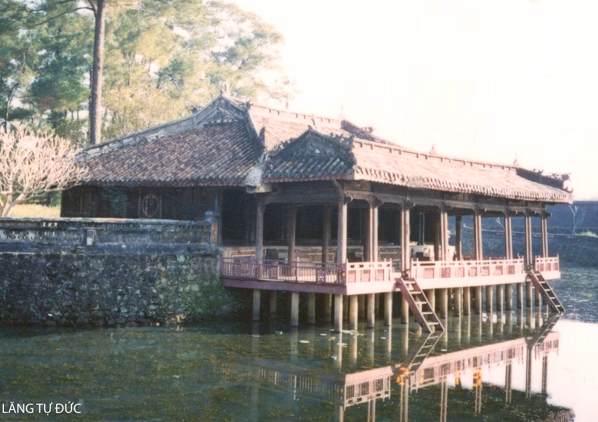 roi-tu-duc.jpg