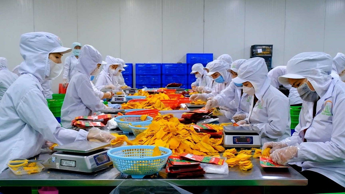 Transformation de fruits séchés. Photo : laodong.