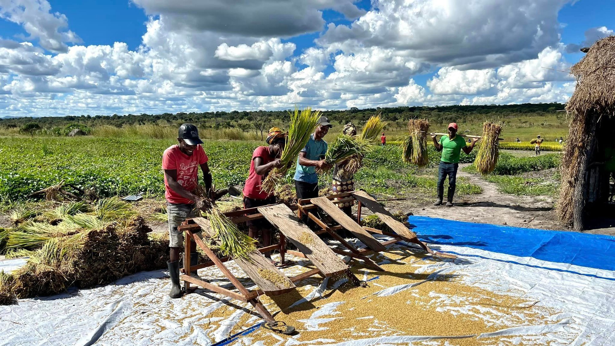L'Angola s’attache à améliorer ses capacités de production nationale, notamment dans l’agriculture et les biens de consommation. Photo : cafebiz.