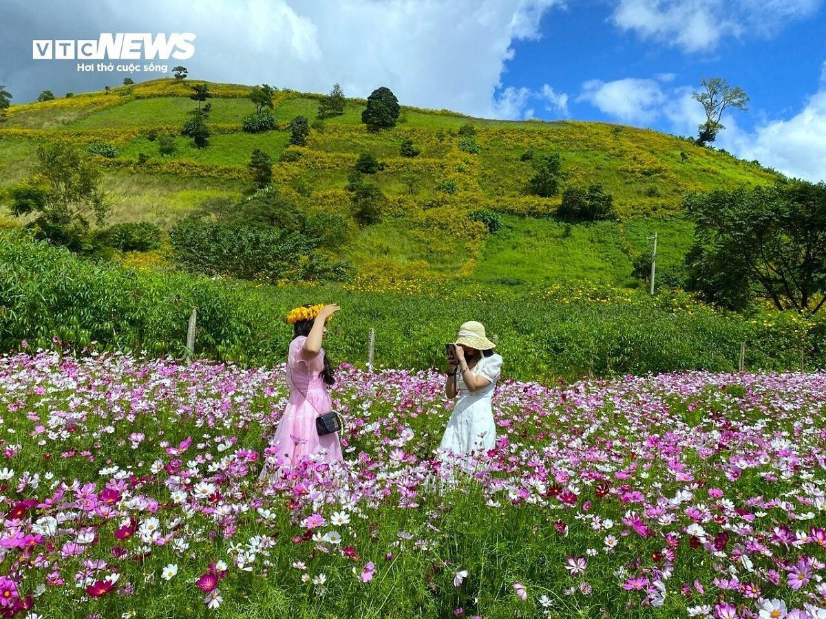 Photo : VTCNews. volcan-10.jpg