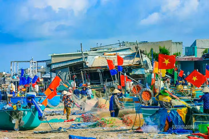 Les bateaux-paniers, les filets et le matériel de pêche, rassemblés sur la plage, composent une palette de couleurs éclatantes au cœur du village de pêcheurs de Long Hai. Photo : suckhoedoisong.