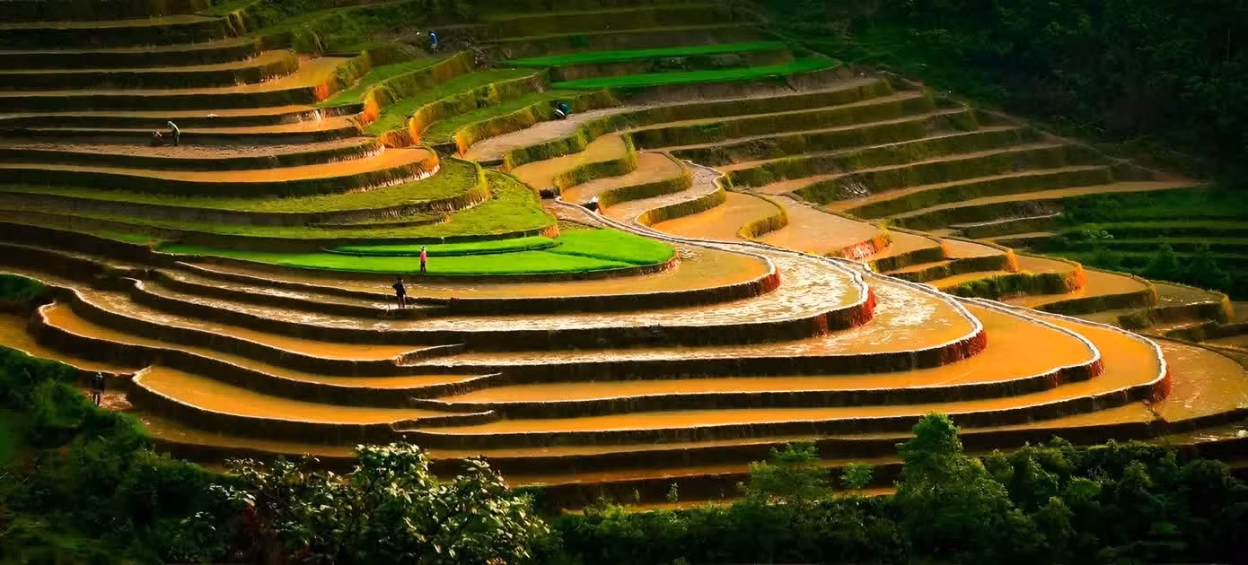 S’étendant sur plus de 700 hectares, les rizières en terrasses de Ta Van sont reconnues comme un site pittoresque national et figurent parmi les itinéraires de randonnée les plus prisés du Vietnam.