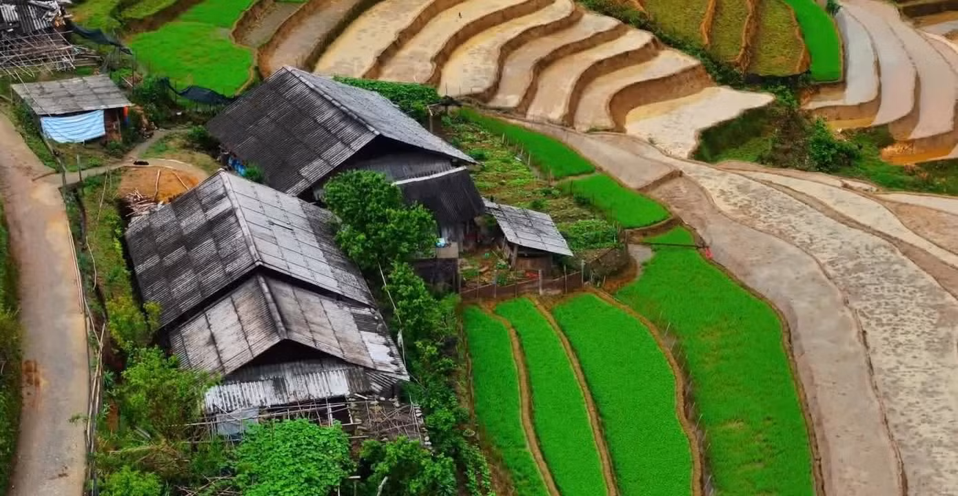 Des rizières s'étendent juste à côté des maisons, l'eau débordant des champs et se reflétant sur le toit et la petite cour. Dans ce décor serein, le temps semble ralentir, laissant place à une atmosphère paisible.