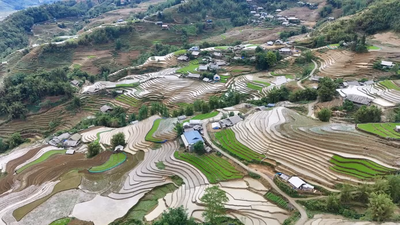 Située à environ 10 kilomètres du centre de la zone touristique nationale de Sa Pa, la commune de Ta Van constitue une étape incontournable pour les visiteurs qui explorent la vallée de Muong Hoa, le village de Cat Cat ou encore Y Linh Ho.