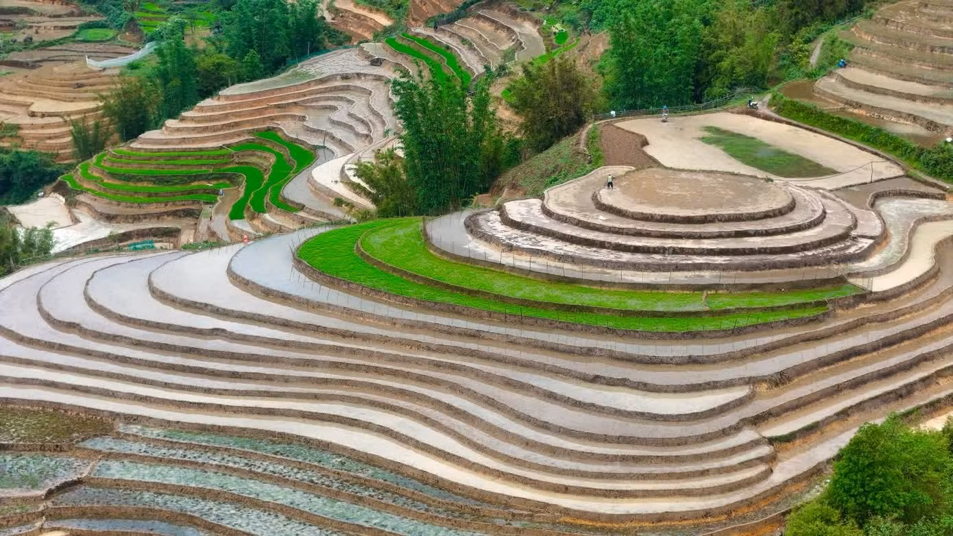 Les rizières en terrasses sont aménagées à flanc de montagne afin d’exploiter au mieux les terres cultivables limitées tout en s’adaptant au relief escarpé des hautes terres.