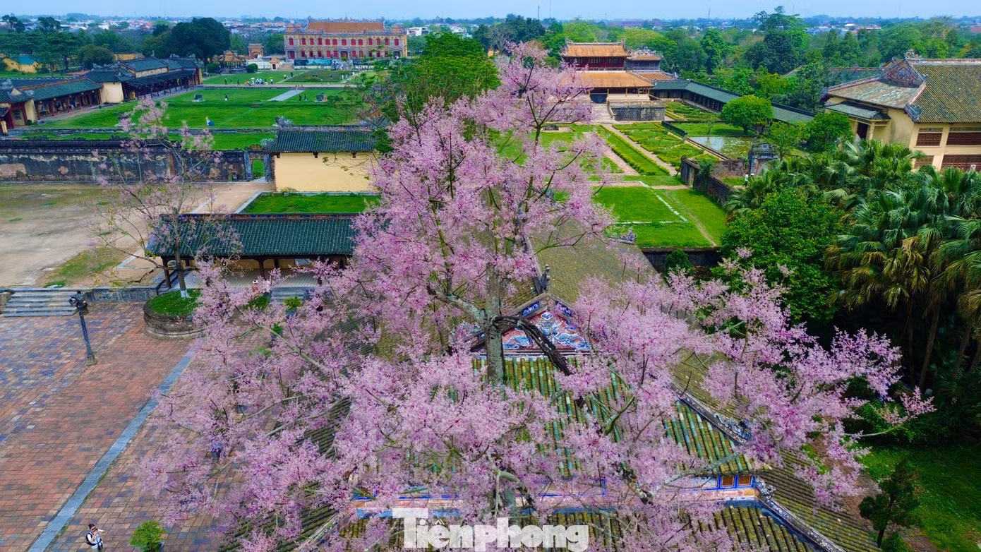 ngo-dong-6-tpo.jpg