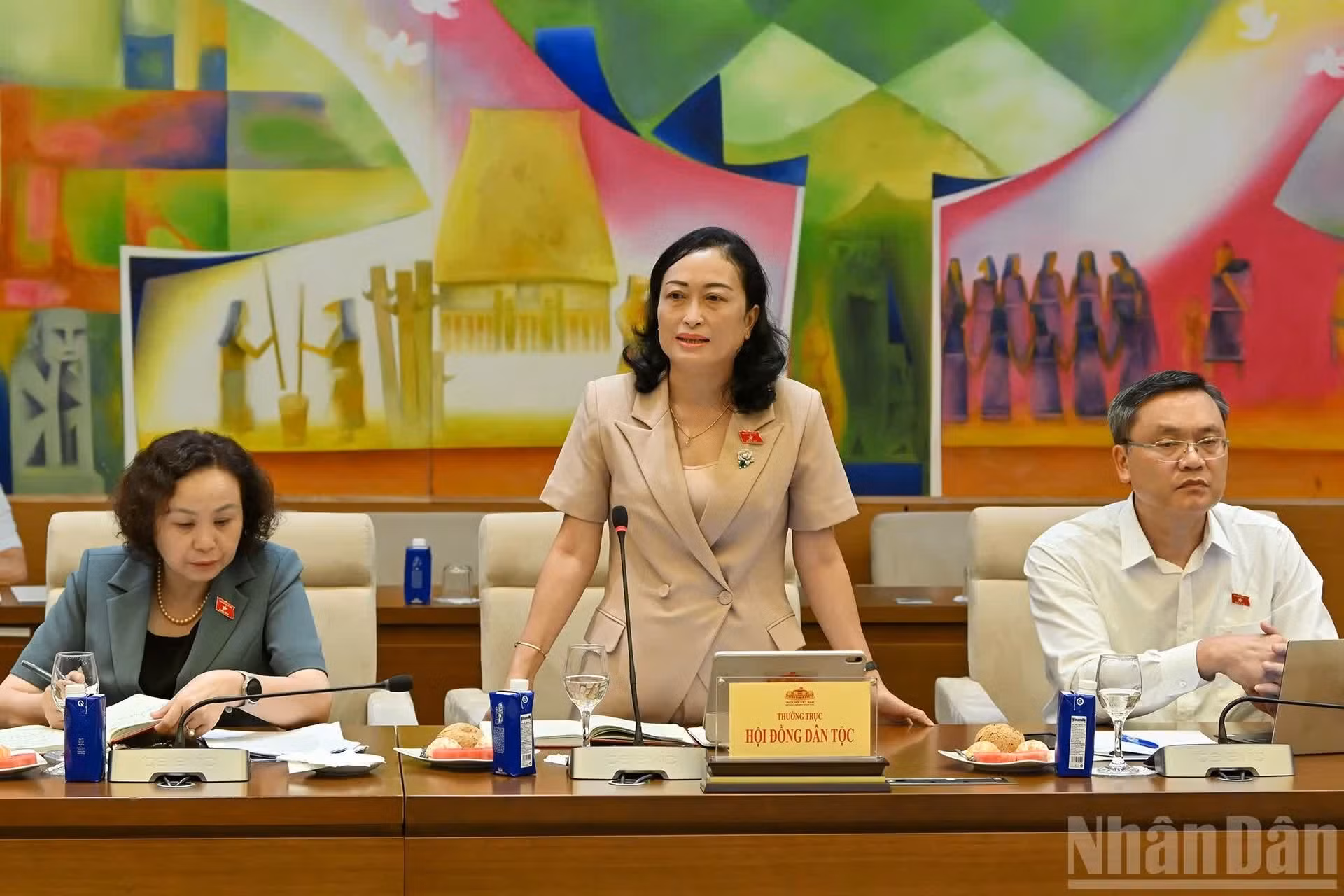 La vice-présidente du Conseil des affaires ethniques, Tran Thi Hoa Ry, prend la parole.