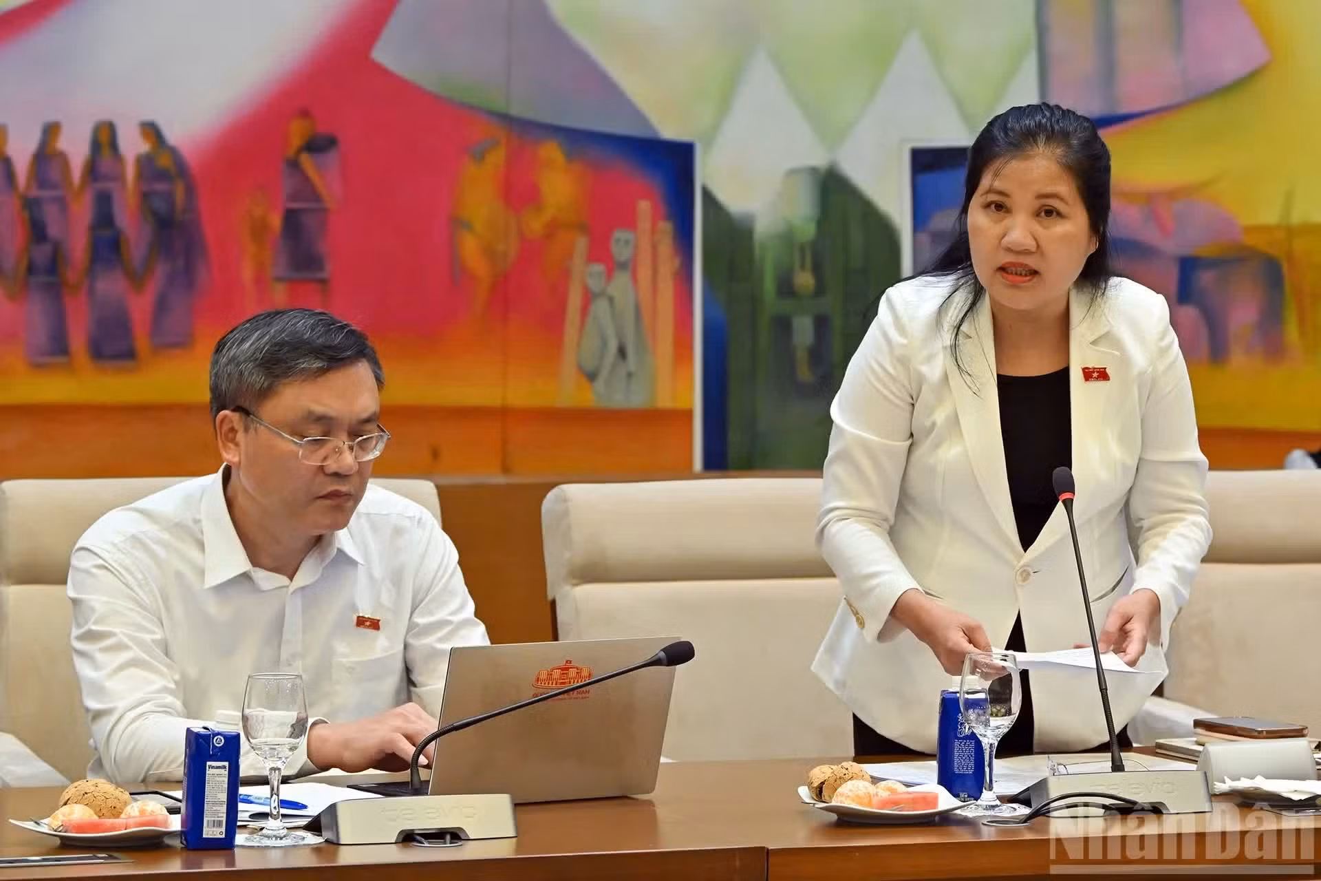 La vice-présidente du Conseil des affaires ethniques, Dinh Thi Phuong Lan, prend la parole.
