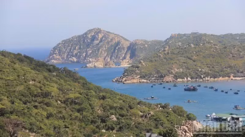 Le parc national de Nui Chua abrite non seulement ce primate rare, mais aussi une grande diversité d’espèces animales et végétales endémiques.