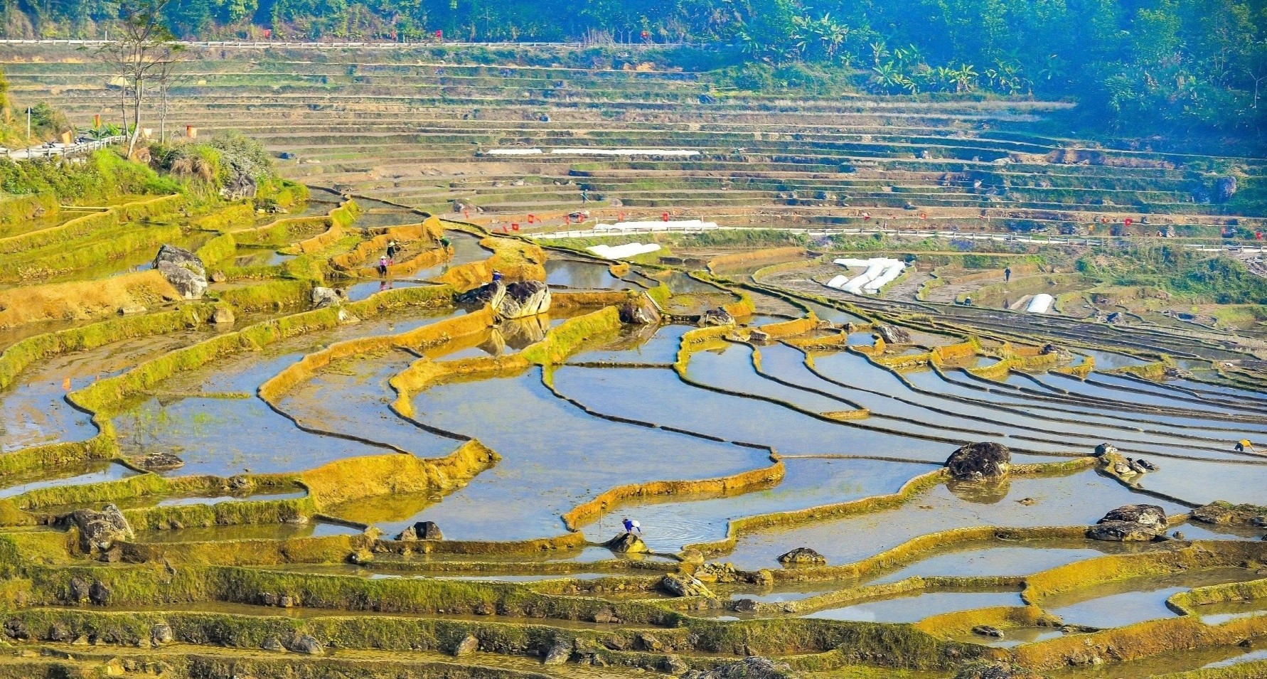 Rizières en terrasses dans la zone touristique de Pu Luong pendant la saison de mise en eau.