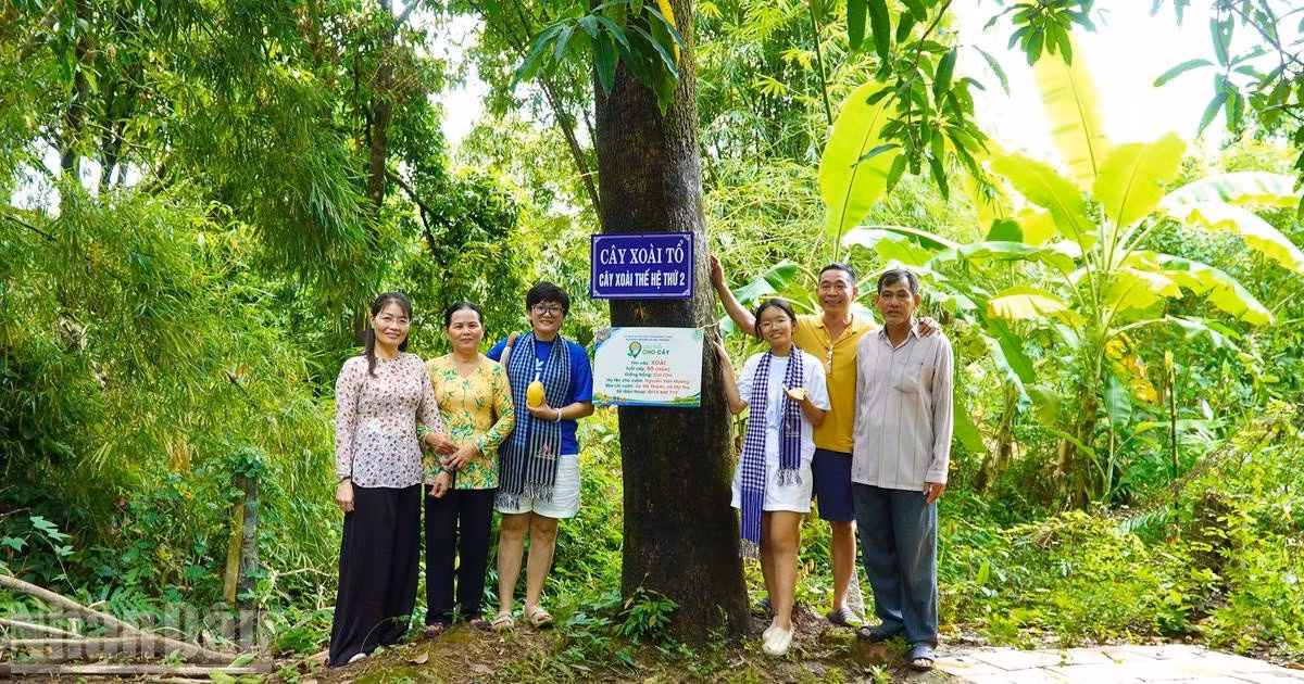 mangue-1.jpg