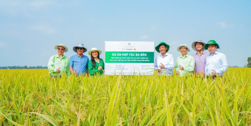 De nombreuses localités expérimentent aujourd’hui des modèles de riz de haute qualité et à faibles émissions. Photo : Vneconomy. lua-dong-thap.png