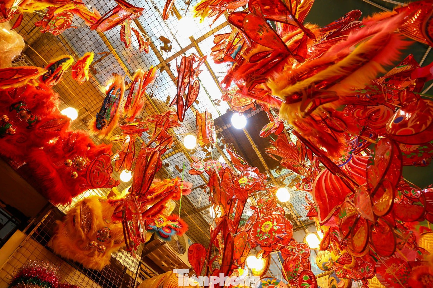 Photo : TPO. hang-ma-3.jpg