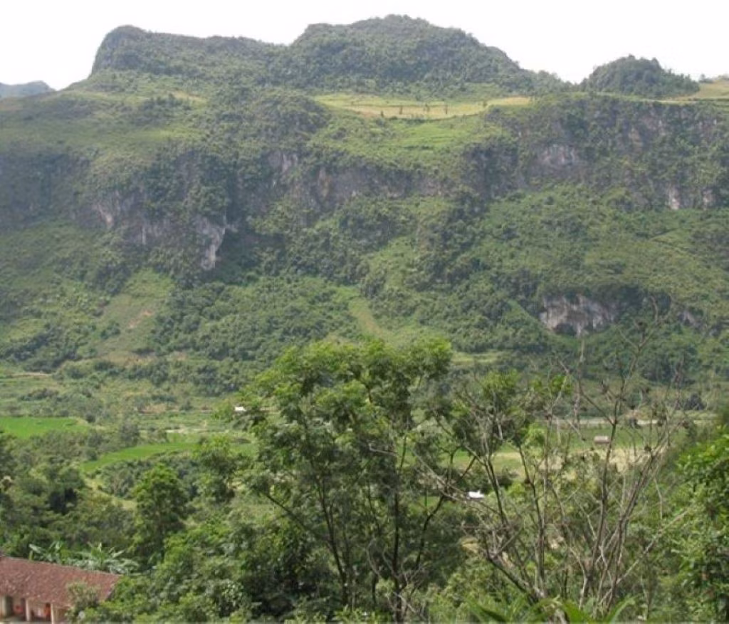 tinh-tuc-2-sua.jpg