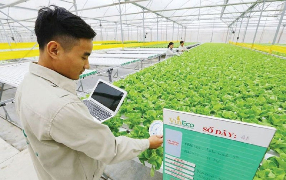 L'application de technologies et d’équipements modernes à la production contribue à améliorer la productivité et à accroître la valeur des entreprises, en particulier des entreprises privées. Photo : diendandoanhnghiep. privee-diendandoanhnghiep.jpg