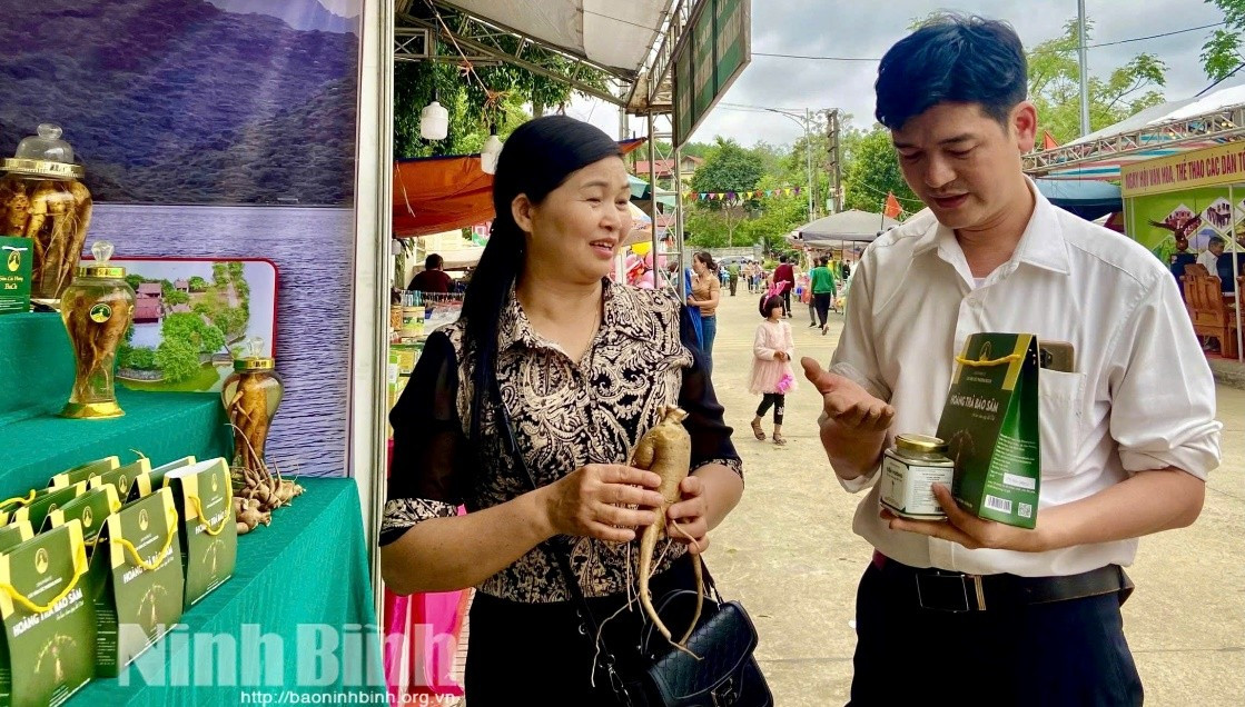 L'application des sciences et technologies modernes permet aux produits de la Coopérative de ginseng de Cuc Phuong de gagner la confiance et l’appréciation de nombreux consommateurs. Photo : baoninhbinh. duoclieu-2-baoninhbinh.jpg