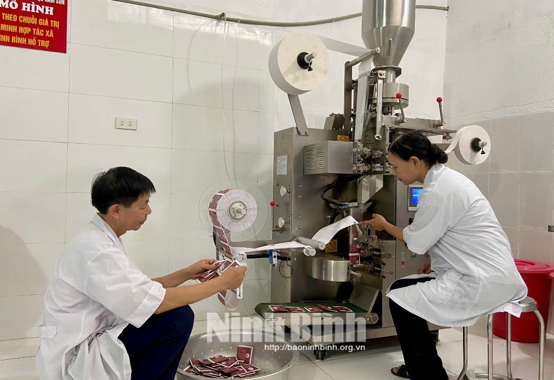 La machine d'emballage moderne est utilisée efficacement par la Coopérative de production et de transformation des plantes médicinales de Nam Son. Photo : baoninhbinh. duoc-lieu-baoninhbinh.jpg