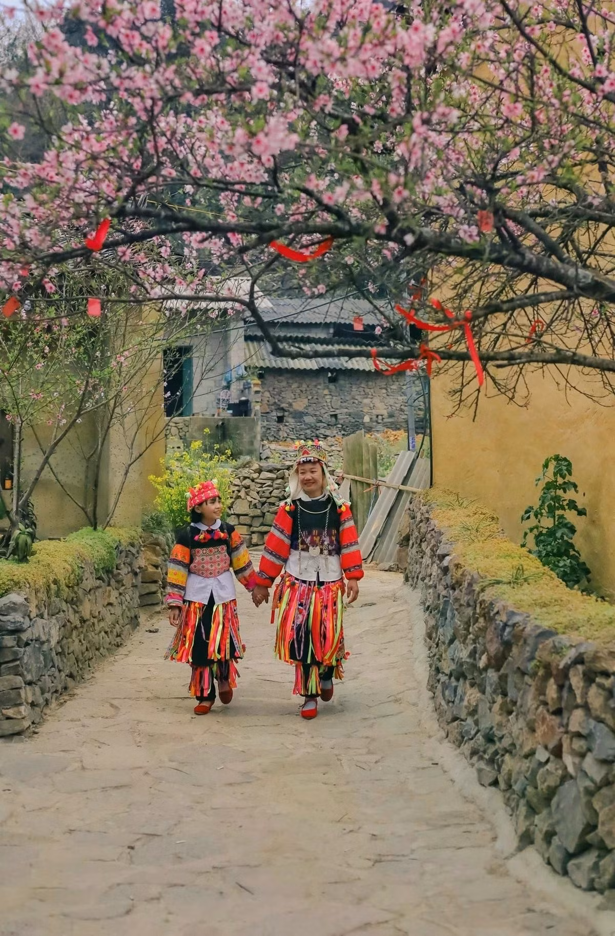 printemps-lo-lo-chai.jpg