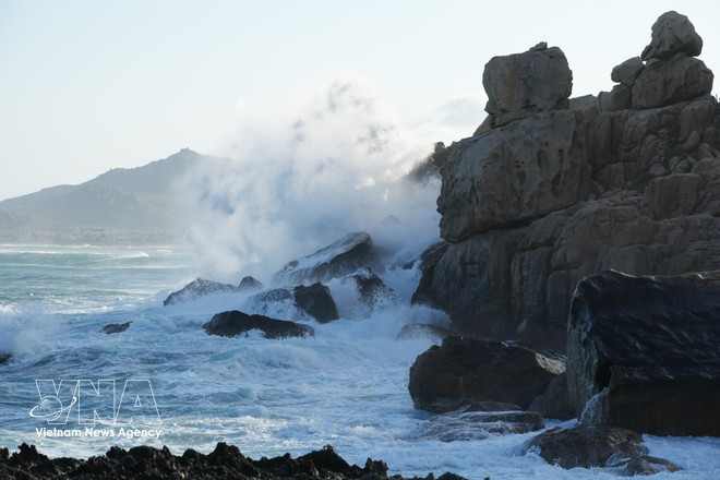 Par mer agitée, Hang Rai révèle une beauté encore plus spectaculaire, où les vagues déferlent sur les falaises en éclats d’écume blanche. Photo : VNA.