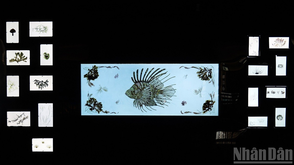 Un spécimen de rascasse volante (Pterois), surnommée poisson-lion, a été recréé à partir d’algues marines. ca-su-tu.jpg