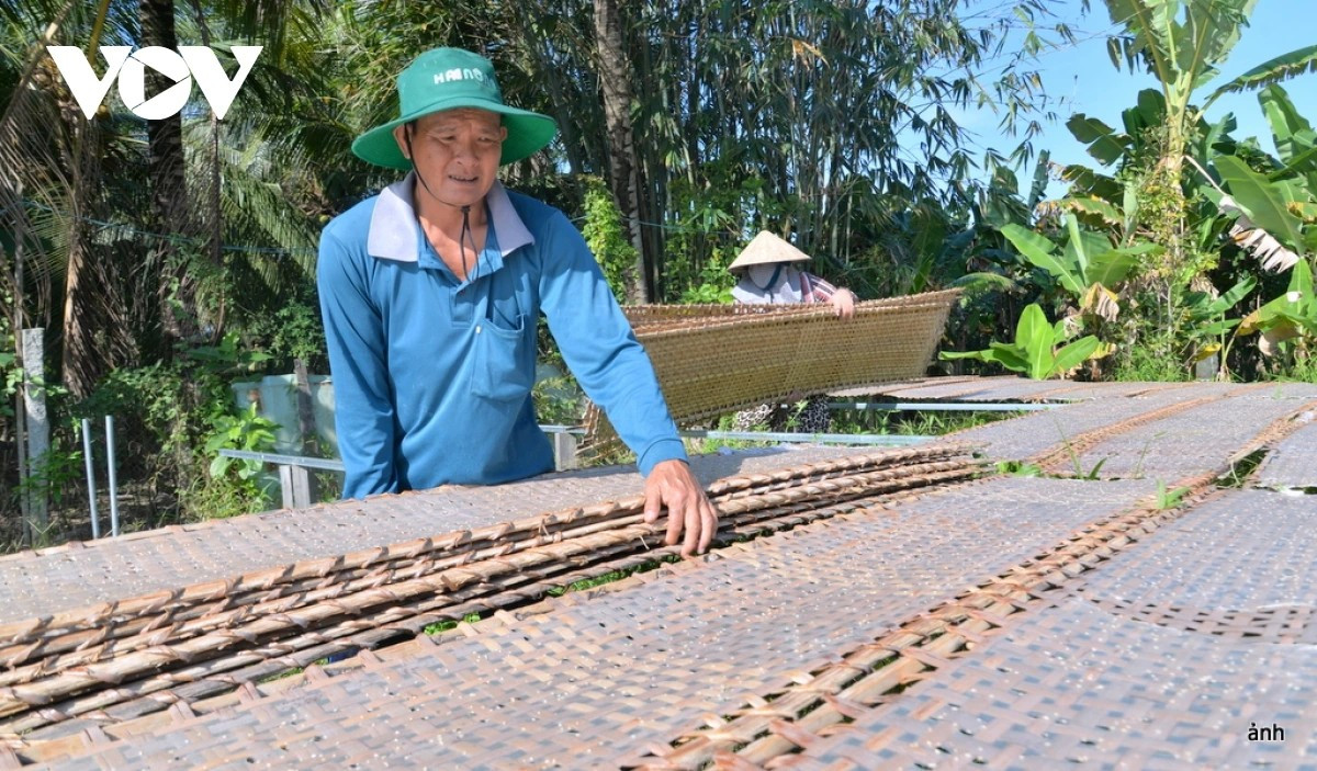 Les galettes de riz de Thuan Hung possèdent une saveur unique, différente de celles d’ailleurs. Photo : VOV.