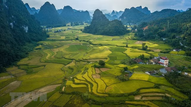 La beauté poétique du parc géologique Non Nuoc de Cao Bang ảnh 3