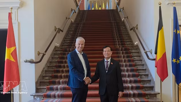 Le président de la Commission de la défense, de la sécurité et des relations extérieures de l'Assemblée nationale, Le Tan Toi, rend une visite de courtoisie au premier vice-président du Sénat de Belgique, Andries Gryffroy. Photo : VNA 