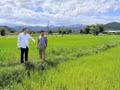 Le président du Comité populaire de la commune de Phan Son, Mai Hong Dang, visite le modèle de la coopérative de riz Me Phan Lam. (Photo : Thanh Hai)