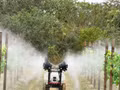 Modèle d’agriculture de haute technologie dans la province du Guangdong (Chine). Photo : VNA. 