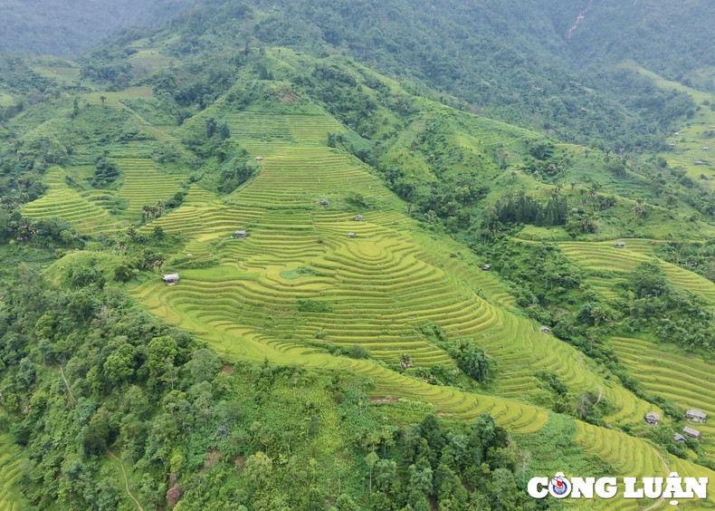 Si l’on pénètre profondément dans la montagne de Tây Côn Linh, le climat devient frais, le paysage sauvage ici est paisible et simple. Photo : congluan.vn Si l’on pénètre profondément dans la montagne de Tây Côn Linh, le climat devient frais, le paysage sauvage ici est paisible et simple. Photo : congluan.vn