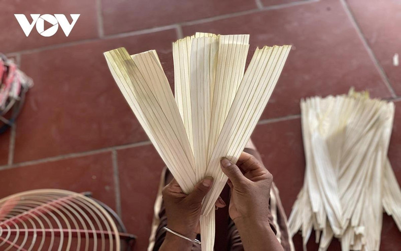 Chaque feuille est soigneusement sélectionnée pour garantir que le revêtement du chapeau soit le plus parfait possible.