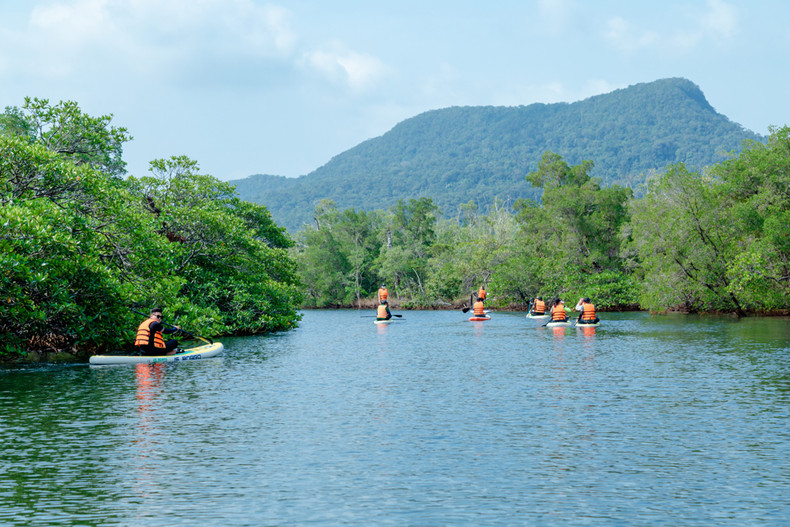 Sur une rive, se trouve une forêt d’arbres de melaleuca. Et sur la rive opposée se trouve une forêt de mangrove qui abrite des arbres rares comme les arbres perroquets, ou des arbres crapauds rouges. Sur une rive, se trouve une forêt d’arbres de melaleuca. Et sur la rive opposée se trouve une forêt de mangrove qui abrite des arbres rares comme les arbres perroquets, ou des arbres crapauds rouges.