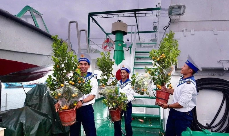 Des kumquats. Photo : NDEL. Des kumquats. Photo : NDEL.