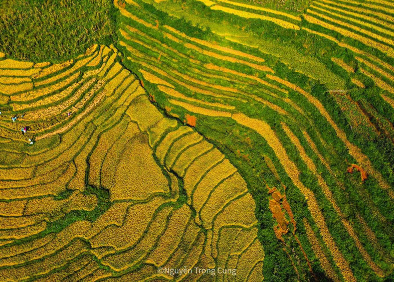 En descendant la route provinciale no 152 de la ville de Sapa vers la rivière Muong Hoa, les visiteurs peuvent admirer les rizières à flanc de montagnes dans les hameaux de Ly Linh Ho, Lao Chai et Ta Van. En descendant la route provinciale no 152 de la ville de Sapa vers la rivière Muong Hoa, les visiteurs peuvent admirer les rizières à flanc de montagnes dans les hameaux de Ly Linh Ho, Lao Chai et Ta Van.