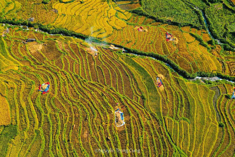 Ils peuvent également s’immerger dans l’atmosphère unique de la saison des récoltes, aux côtés des habitants de cette région. Ils peuvent également s’immerger dans l’atmosphère unique de la saison des récoltes, aux côtés des habitants de cette région.